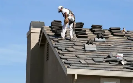 Learning the Basics of Professional Roofing Services