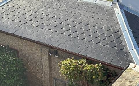 Expert Roofing Services in Central Scotland: Quality Workmanship You Can Rely On