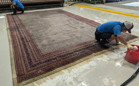 What Does Professional Carpet Cleaning Cost in San Marcos Today?