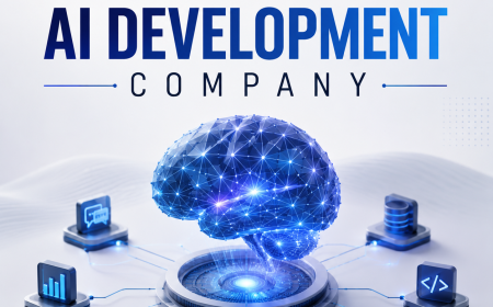 How to Tell the Difference Between a Custom AI Development Company and an AI Consultancy