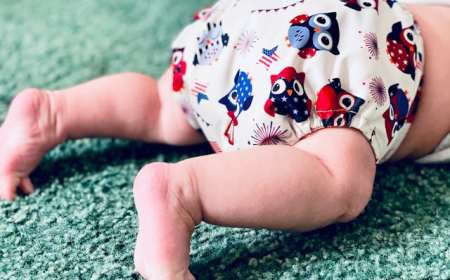 Cloth Diaper Market Trends: How Reusable Baby Products Are Reshaping Infant Care