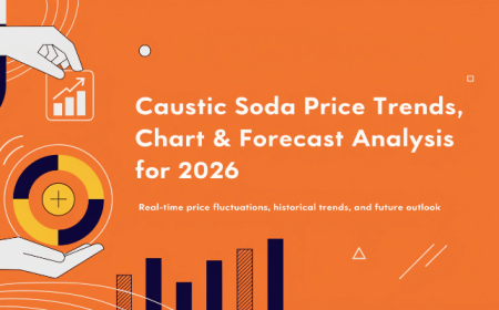 Caustic Soda Prices 2026: Latest Trends, Index & Chart Data