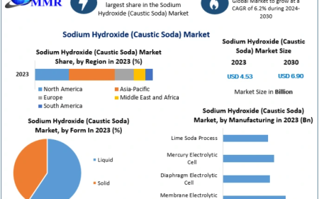 Sodium Hydroxide (Caustic Soda) Market Growth Trends and Industry Outlook Through 2030