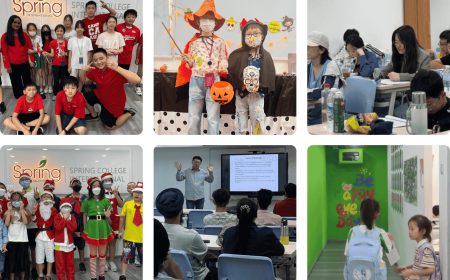 Business Management Diploma Singapore | Business Program