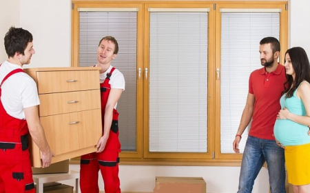 Furniture Removals Brisbane: Tips for Moving Large and Heavy Items