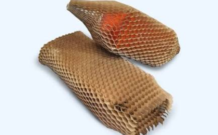 Honeycomb Packaging Market Growth Driven by Sustainable and Lightweight Packaging Solutions