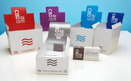 Why Is a Professional Website Important for a CBD Brand?