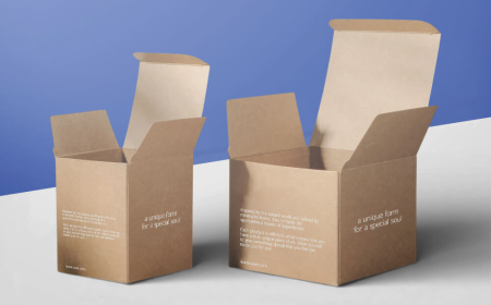 Why Is Eco Packaging A Popular Business Direction?