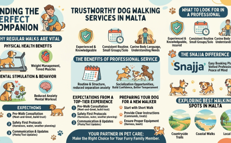 Need a Dog Walker in Malta? | Reliable & Caring | Snajja