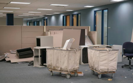 Why Experience Matters for Trusted Clutter Removal in Auburndale, MA