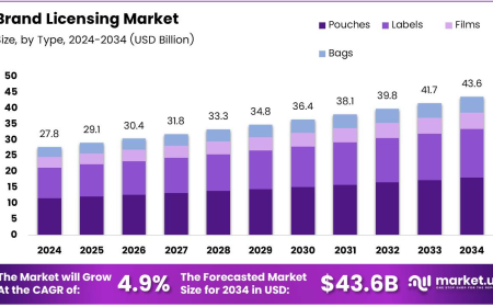 Exploring the Global Brand Licensing Market: Trends, Challenges, and Opportunities