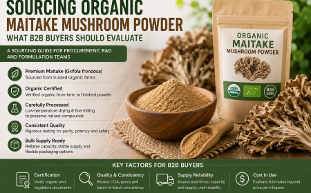 Sourcing Organic Maitake Mushroom Powder: What B2B Buyers Should Evaluate