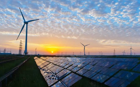 RCO Compliance and Obligations: A Complete Guide for Businesses in 2025
