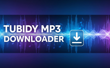 Tubidy Guide: Understanding Online Audio and Video Access in the Digital Age