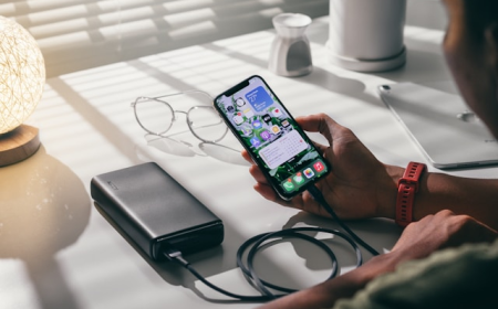 Power Bank Market Growth: Rising Smartphone Usage Fuels Global Demand