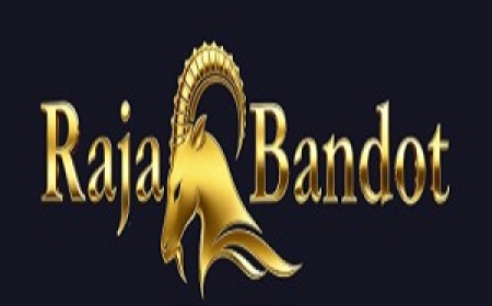 Rajabandot: Memahami Kepopuleran Situs Toto dan Togel Online Terpercaya