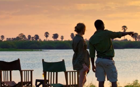 Top 14-Day Tanzania Safari: Best Coast to Savannah Southern Tanzania Adventure