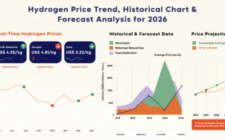 Hydrogen Price Index 2026: Q2 Trends, Data & Price Forecast