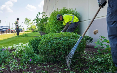 What Landscape Maintenance in Oneonta, NY Really Takes