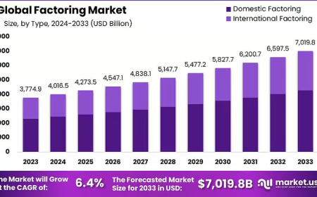 Factoring Market: Rising Importance of Alternative Financing