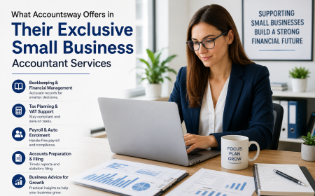 What Accountsway Offers in Their Exclusive Small Business Accountant Services