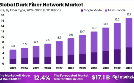Dark Fiber Network Market: Competitive Landscape and Industry Strategies