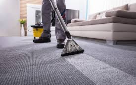 Carpet Cleaning Services Supporting Comfortable Living Spaces