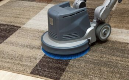 Simple Home Care Improvements Through Carpet Cleaning Services