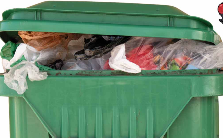 Affordable Bin Cleaning Solutions from a Leading USA Service