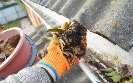 How Professional Gutter Cleaning Protects Rochester Homes from Water Damage