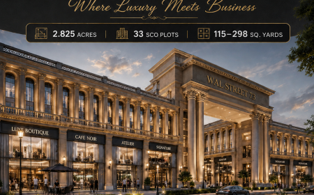 WAL Street 73 Project Location and Commercial Development Factors