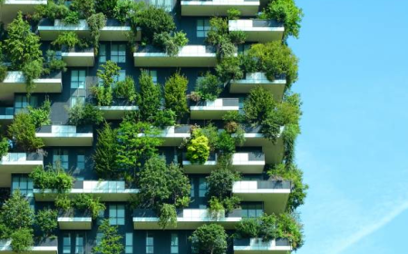 Why Green Building Materials Are Shaping Sustainable Construction