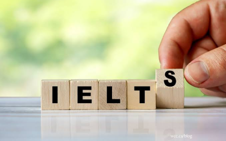 The 4 Most Dangerous Grammar Errors in IELTS Essay Writing