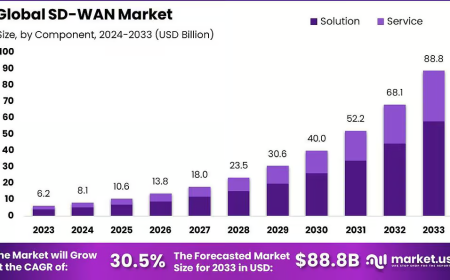Software-Defined Wide Area Network (SD-WAN) Market: Network Cost Optimization