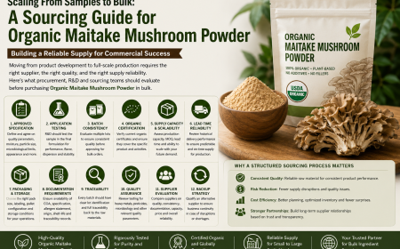 Organic Maitake Mushroom Powder Sourcing: What B2B Buyers Should Evaluate Before Scaling