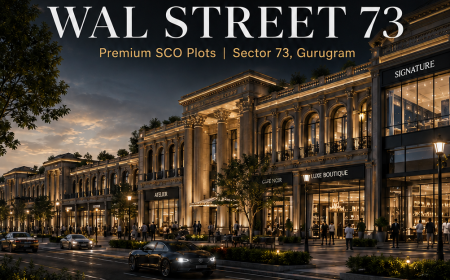 WAL Street 73 SCO Plots Gurgaon Commercial Area Planning Analysis