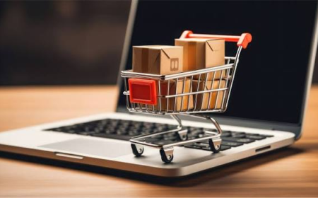 Navigating the E-commerce Landscape: Funding Online Sellers Through an E-Commerce Business Loan and MSME Scheme