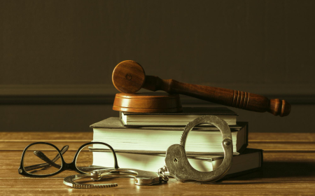 Navigating Domestic Violence: The Role of Family Lawyers and Protection Orders