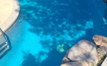 How To Vet A "Pool Service Near Me" Result Before You Sign A Contract