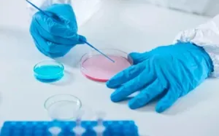 Egg Freezing in New Jersey: Understand the Process, Costs, and Your Options