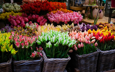 Cheap Flower Shop in Ajman – 11 Smart Ways to Save Money on Fresh Flowers