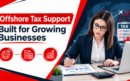 Offshore Tax Support Built for Growing Businesses