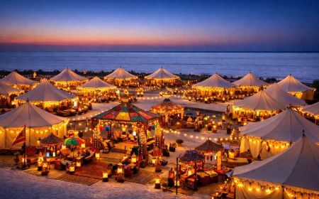 Discover the Magic of the Gujarat Rann of Kutch Festival with the Best Tour Packages