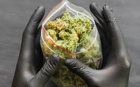 A Complete Guide to Legal Weed Delivery Services in New Westminster