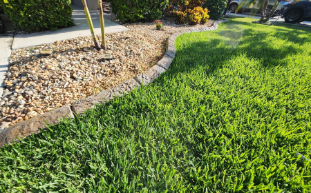 What’s the Best Way to Keep Mulch and Rocks Where They Belong?