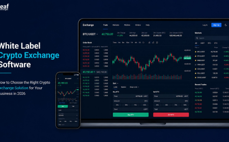 How to Choose the Right Crypto Exchange Solution for Your Business in 2026
