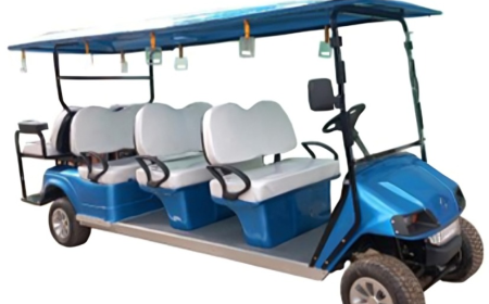 Buggy Cars: The Smart Mobility Solution for Modern Facilities