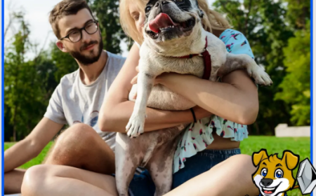 Pooper Scooper Services in the USA: A Convenient Solution for a Cleaner, Healthier Yard