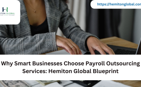 Why Smart Businesses Choose Payroll Outsourcing Services: Hemiton Global Blueprint