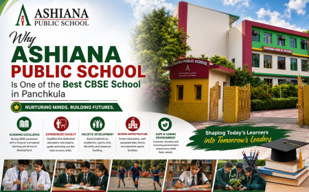 Beyond Academics: How Ashiana Public School Panchkula Helps Students Prepare for the Future